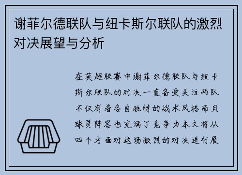 谢菲尔德联队与纽卡斯尔联队的激烈对决展望与分析