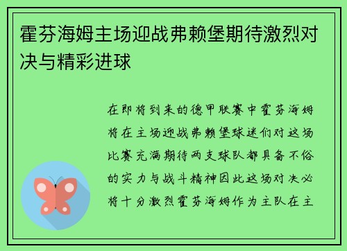 霍芬海姆主场迎战弗赖堡期待激烈对决与精彩进球
